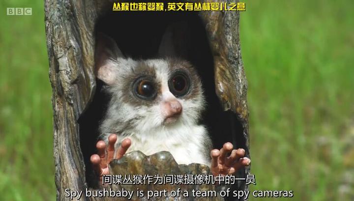 快节奏老字号列传